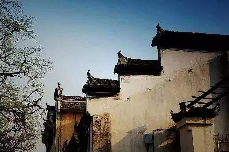拯救精灵的土地9